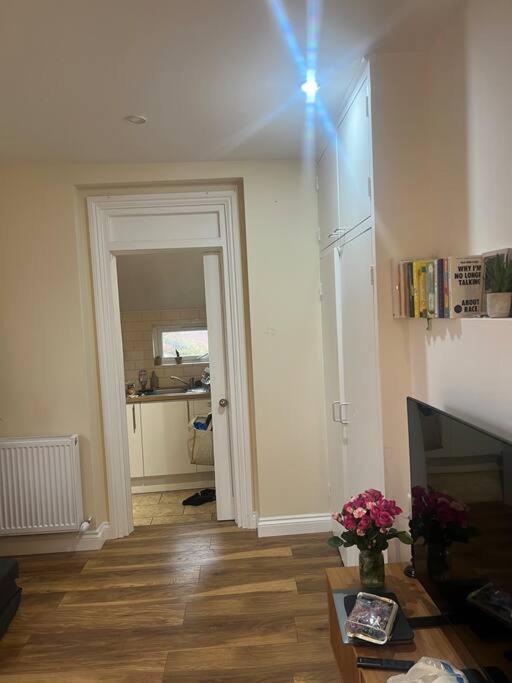 Apartament Large Modern Studio Flat Londyn Zewnętrze zdjęcie